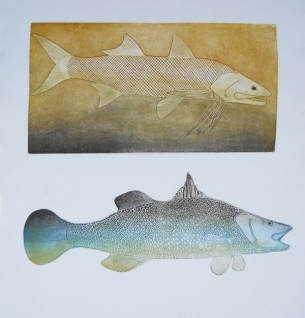 Hedley Karyuka _ Hedley Karyuka _Slamon and Barramundi_ 55 by 52cm JPG copy - Copy