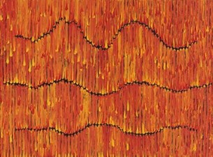 Waru Bushfire Orange 60x80cm